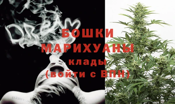 PSILOCYBIN Пересвет