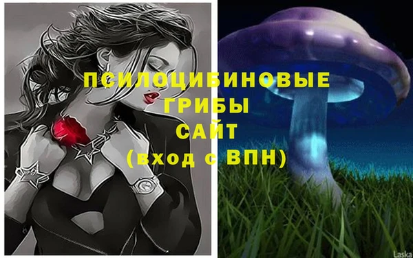экстази Армянск